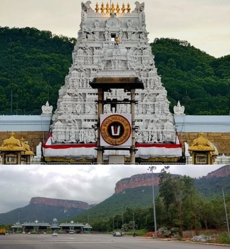 1 1.jpg